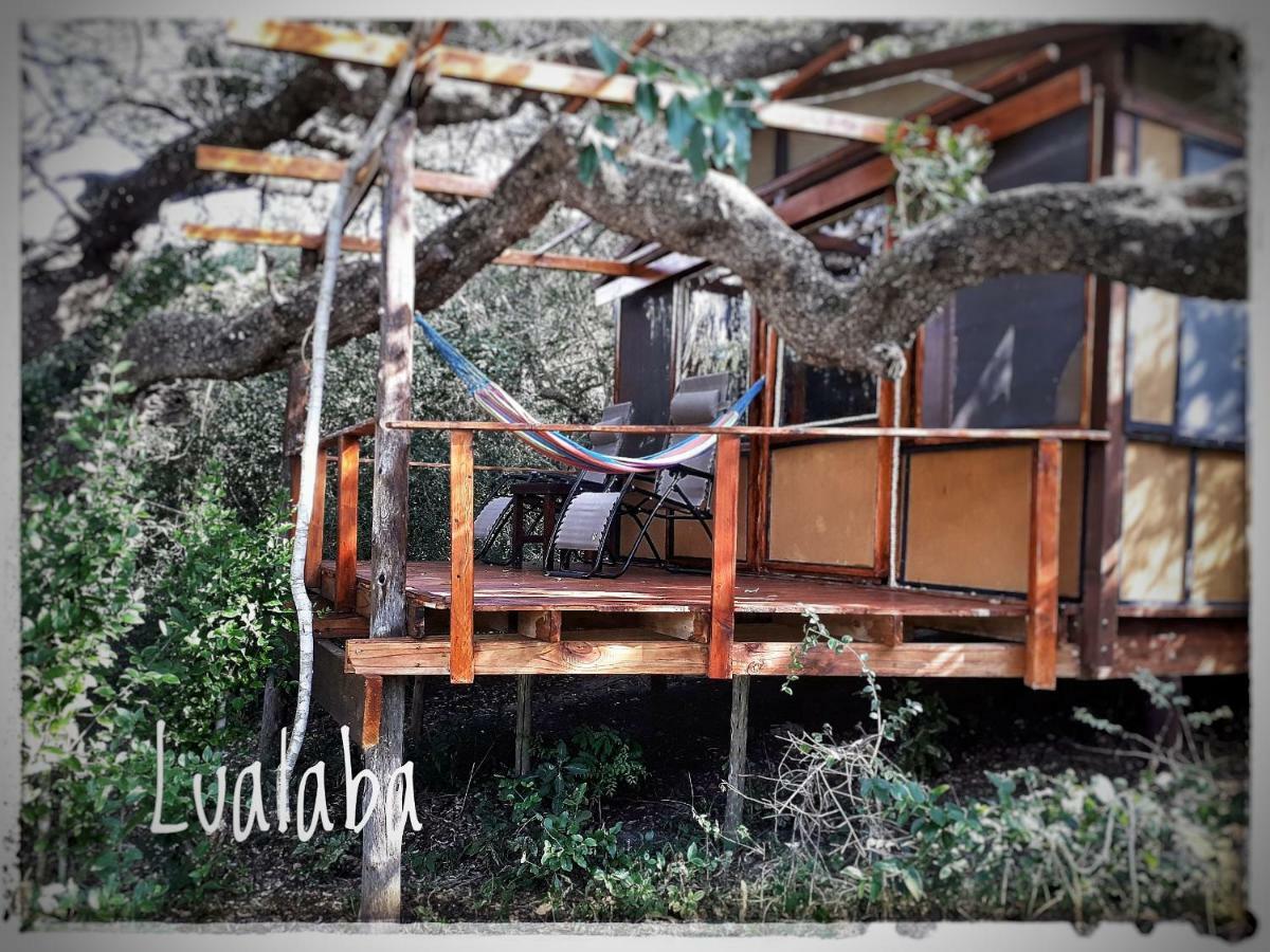 Chinderera Eco Lodge Manguzi Екстер'єр фото
